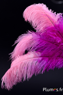 Autruche - 30-40 cm - fuchsia-rose